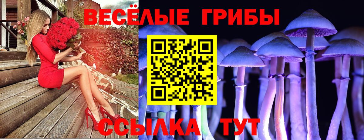 Галлюциногенные грибы ЛСД  Псилоцибиновые грибы Cubensis  Вход с VPN  Лабинск 