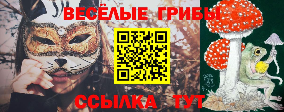 Галлюциногенные грибы Cubensis Лабинск